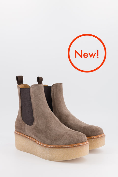 POOKY - Chelsea boots in suede taupe